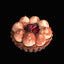 Cherry Tart