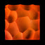 Cells - Grapefruit, Mint