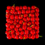 Cherry - Cherry, Chocolate
