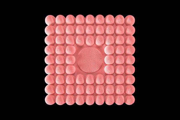 Spheres- Strawberry, Coconut