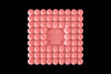 Spheres- Strawberry, Coconut