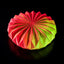 Origami- Apple, Cinnamon