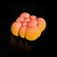 Cloud - Guava, Passion Fruit