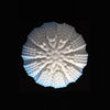 Mini Pompon blue