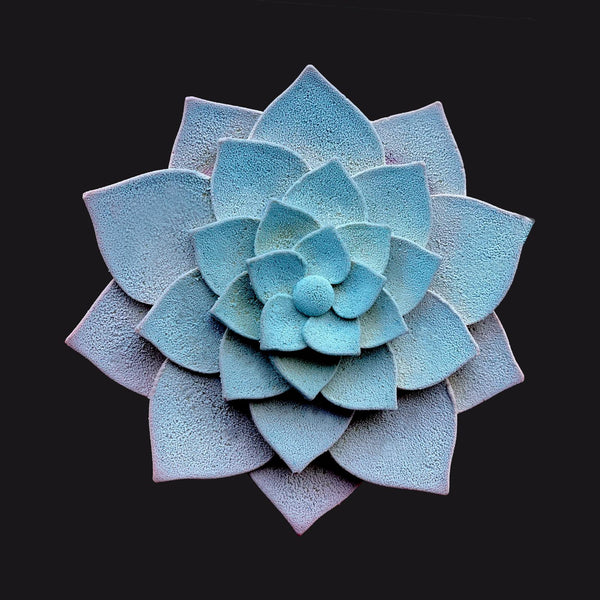 Succulent - Matcha, Raspberry